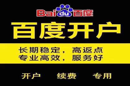 百度推广服务费案例解析：如何降低成本